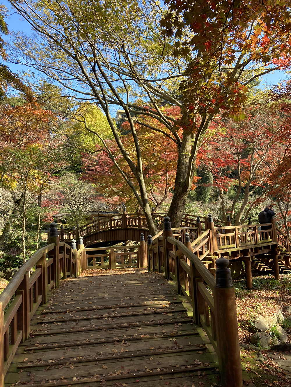 梅園の紅葉